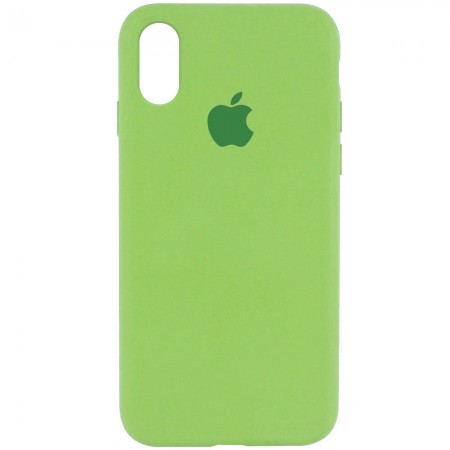 Чехол Silicone Case Full Protective (AA) для Apple iPhone XR (6.1'') Мятный (4589)