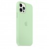Чехол Silicone Case Full Protective (AA) для Apple iPhone 12 Pro / 12 (6.1'') Зелёный (22560)