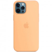 Чехол Silicone case (AAA) full with Magsafe для Apple iPhone 12 Pro / 12 (6.1'') Помаранчевий (16952)