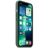 Чохол Silicone case (AAA) full with Magsafe для Apple iPhone 13 Pro Max (6.7'') Зелений (39136)