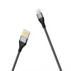 Дата кабель Borofone BU11 Tasteful USB to Lightning (1.2m) Чорний (34322)