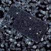 TPU чохол Bling World Rock Diamond для Apple iPhone 14 Plus (6.7'') Черный (35502)
