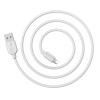 Дата кабель Borofone BX14 USB to Lightning (1m) Білий (36403)